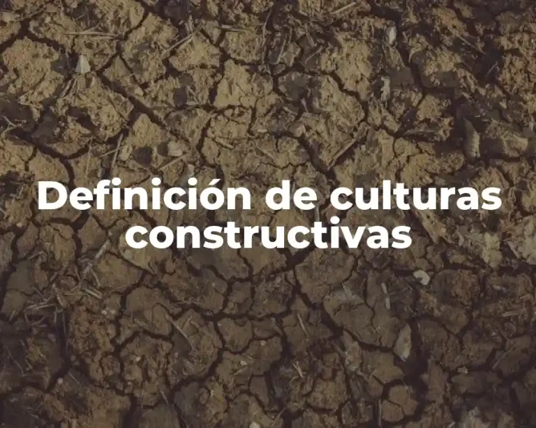 Definición de culturas constructivas