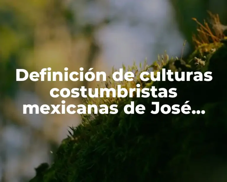 Definición de culturas costumbristas mexicanas de José María Velasco