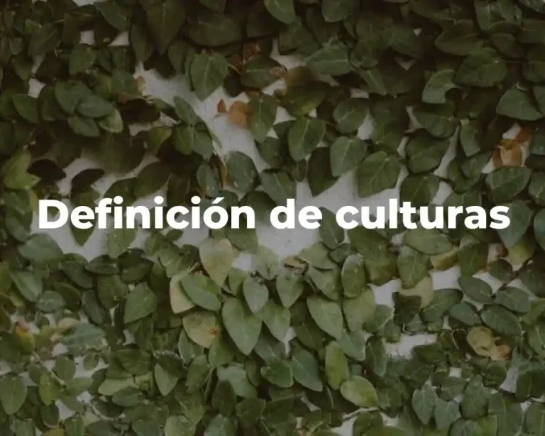 Definición de culturas