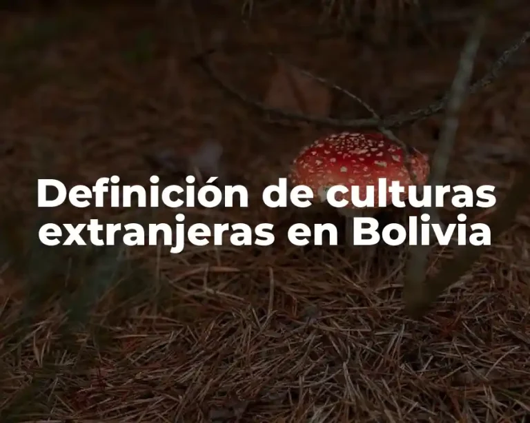 Definición de culturas extranjeras en Bolivia