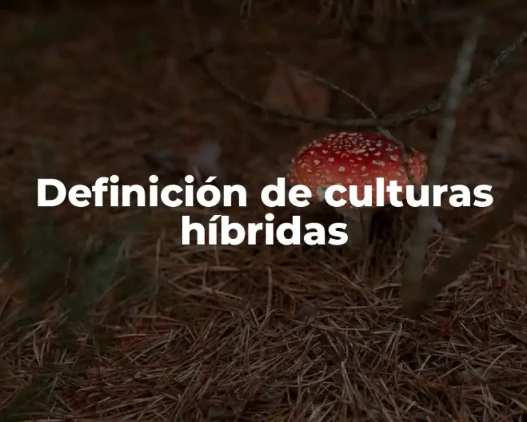Definición de culturas híbridas