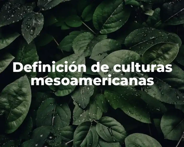 Definición de culturas mesoamericanas