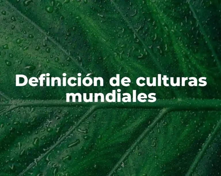 Definición de culturas mundiales