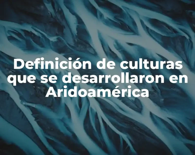 Definición de culturas que se desarrollaron en Aridoamérica