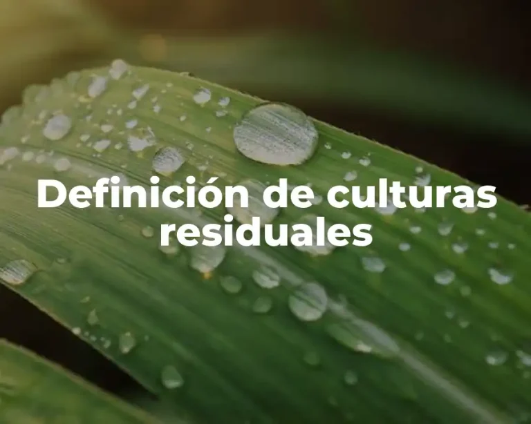 Definición de culturas residuales