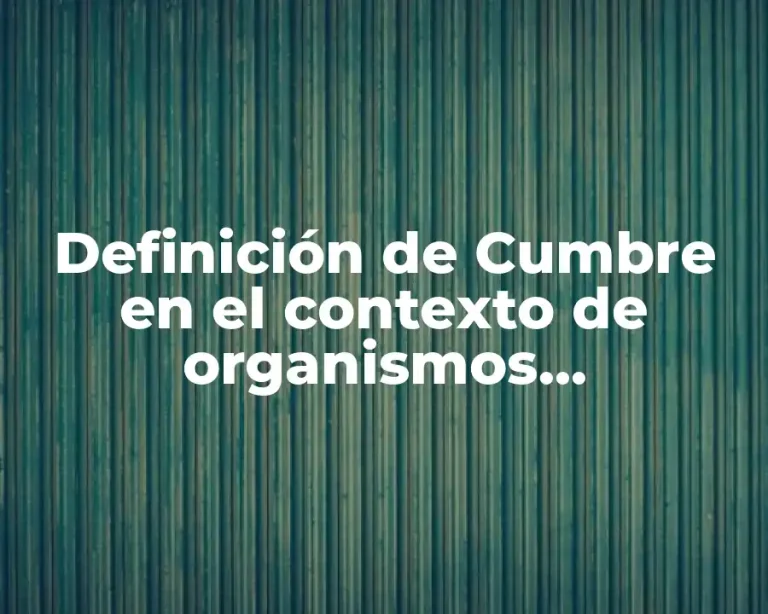 Definición de Cumbre en el contexto de organismos internacionales