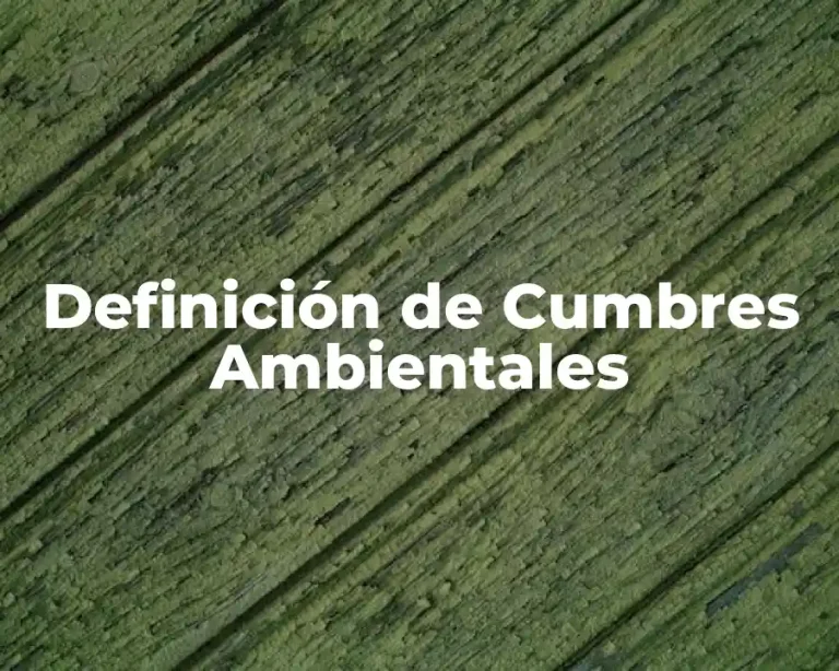 Definición de Cumbres Ambientales