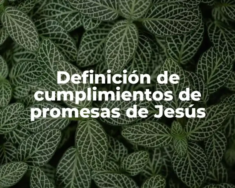 Definición de cumplimientos de promesas de Jesús