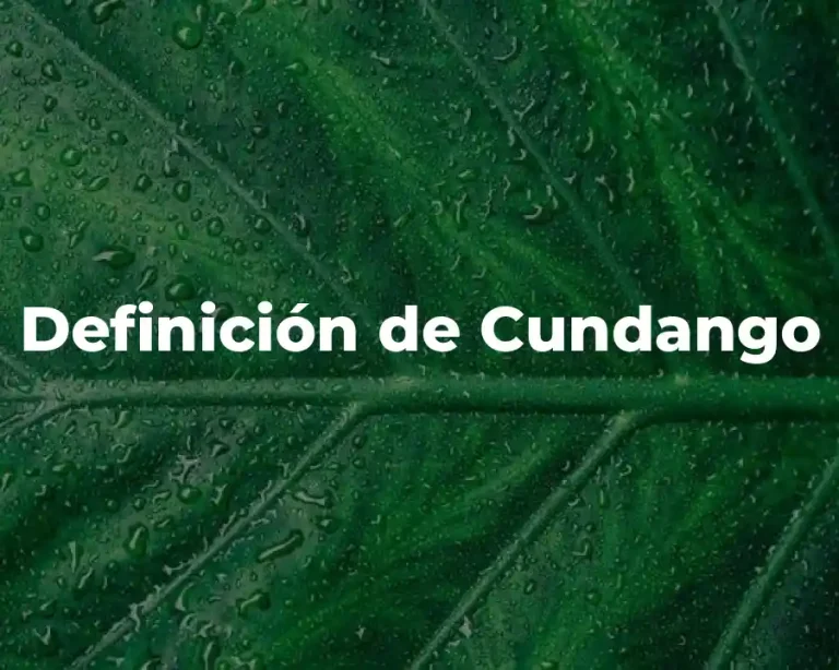 Definición de Cundango