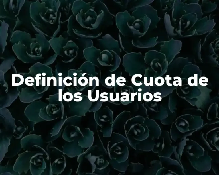 Definición de Cuota de los Usuarios
