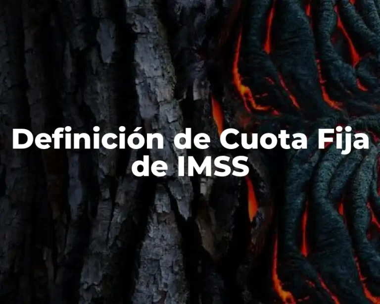 Definición de Cuota Fija de IMSS