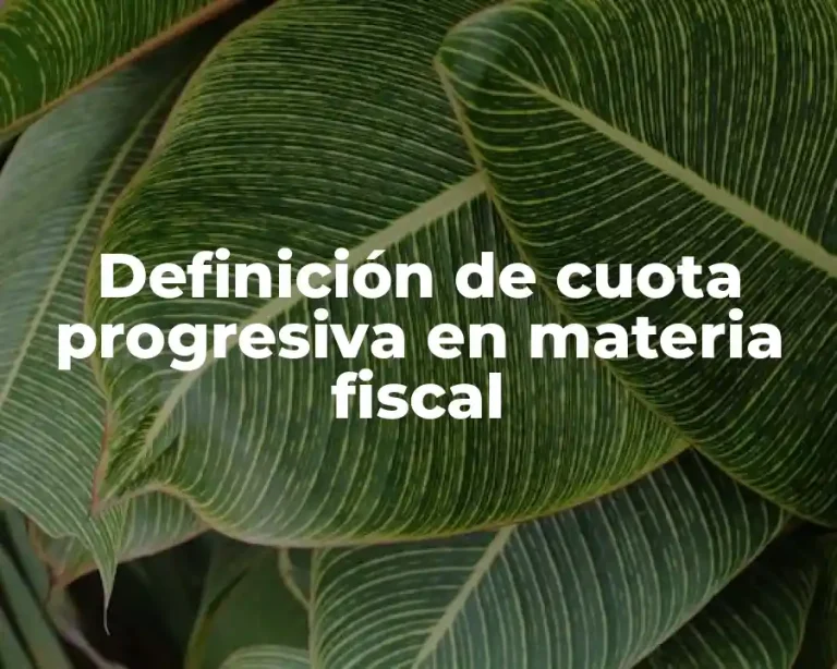 Definición de cuota progresiva en materia fiscal