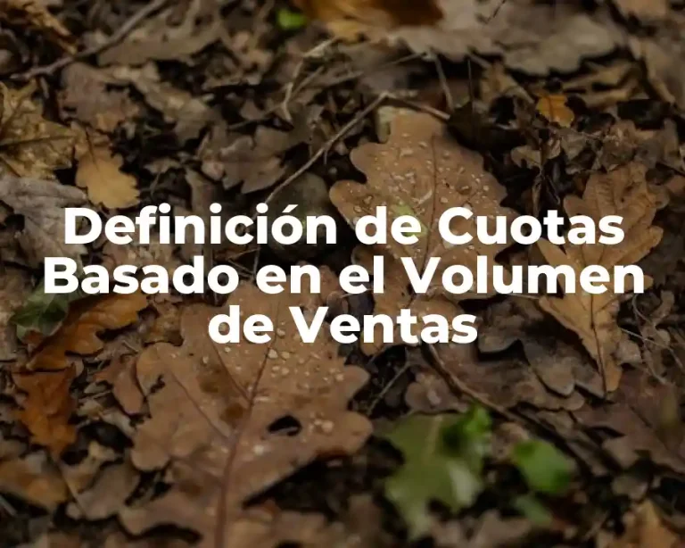 Definición de Cuotas Basado en el Volumen de Ventas