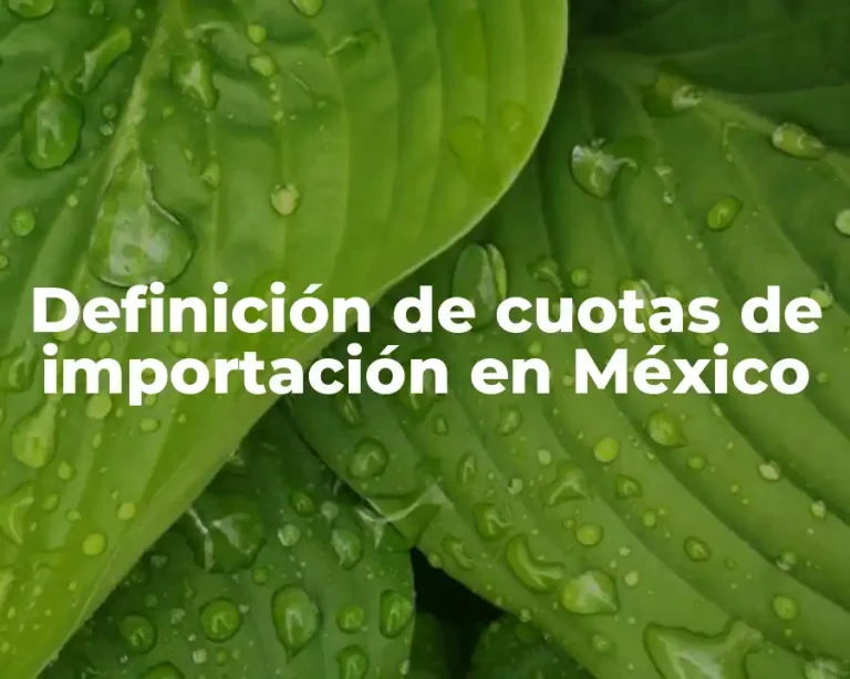 Definición de cuotas de importación en México