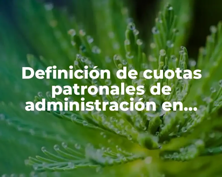 Definición de cuotas patronales de administración en contabilidad