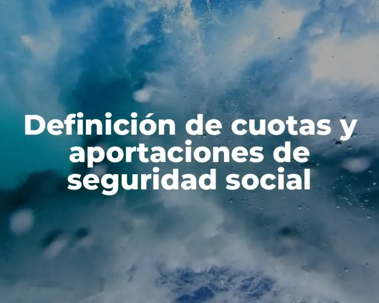 Definición de cuotas y aportaciones de seguridad social