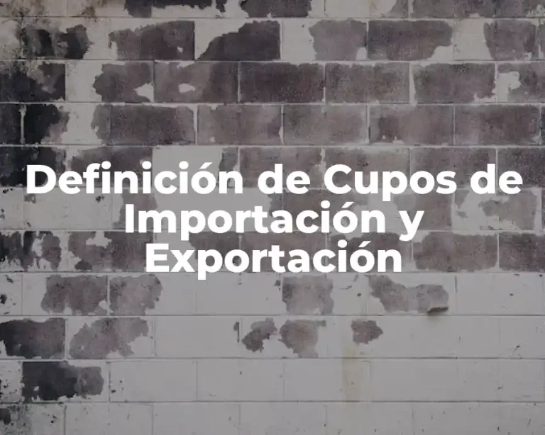 Definición de Cupos de Importación y Exportación