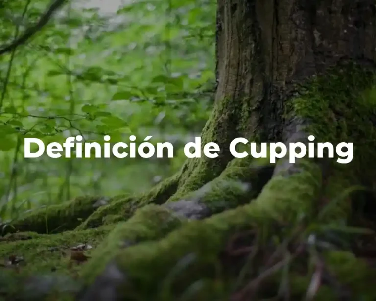 Definición de Cupping