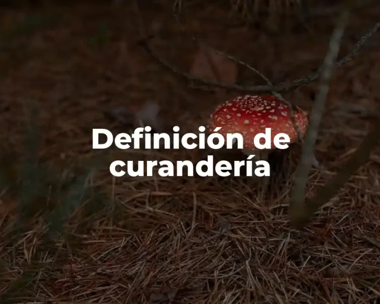 Definición de curandería