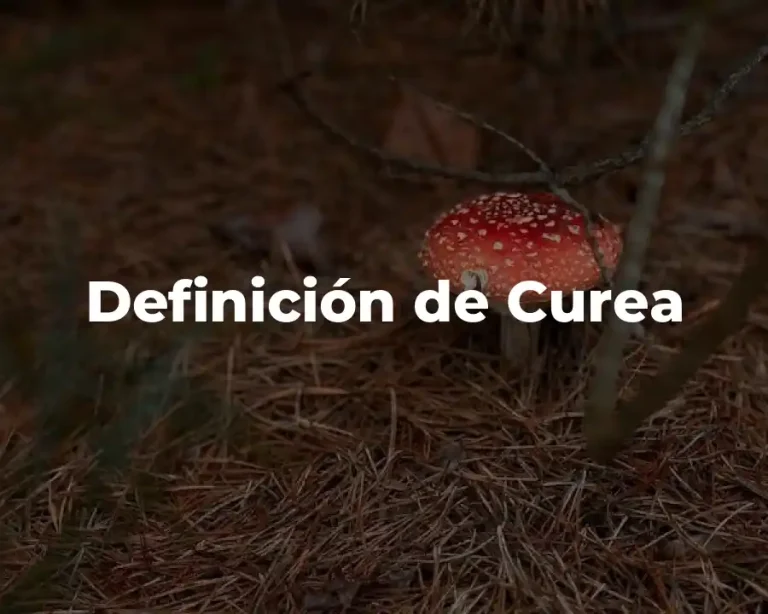 Definición de Curea