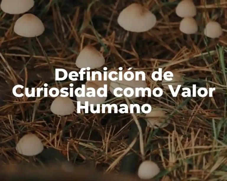 Definición de Curiosidad como Valor Humano
