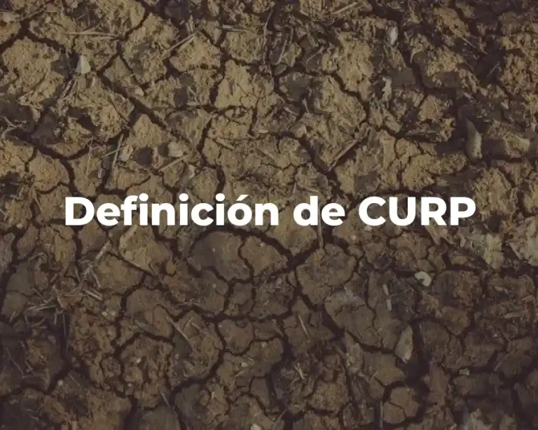 Definición de CURP