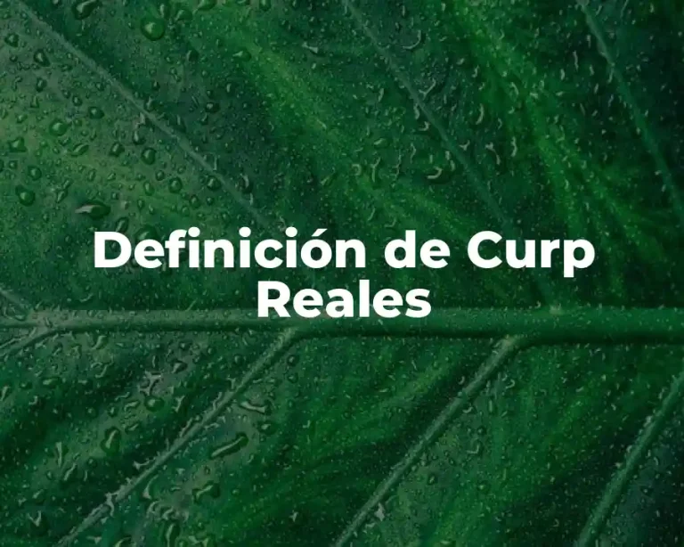 Definición de Curp Reales