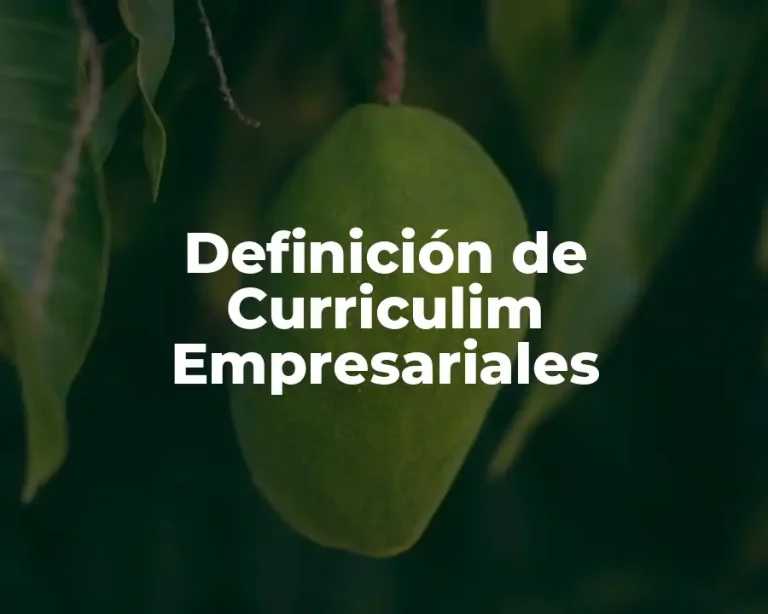 Definición de Curriculim Empresariales