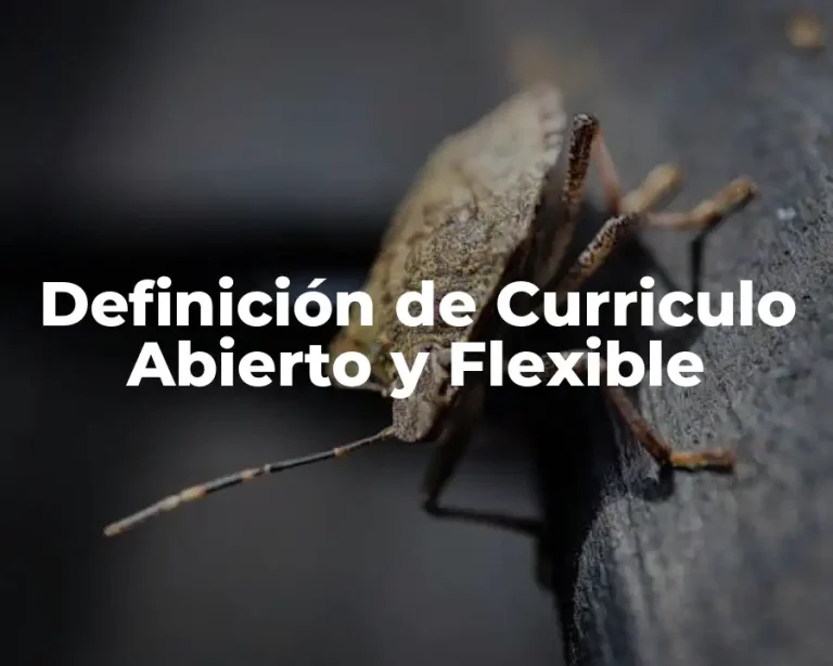 Definición de Curriculo Abierto y Flexible