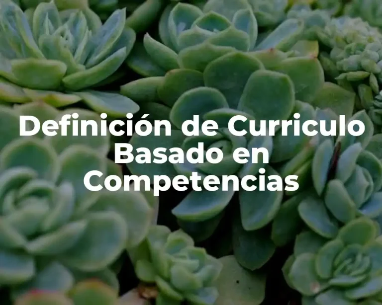 Definición de Curriculo Basado en Competencias