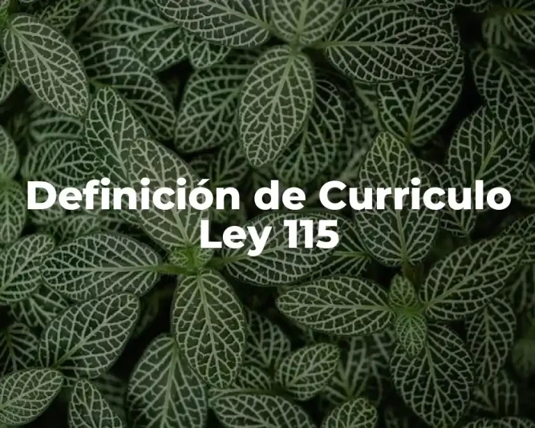 Definición de Curriculo Ley 115