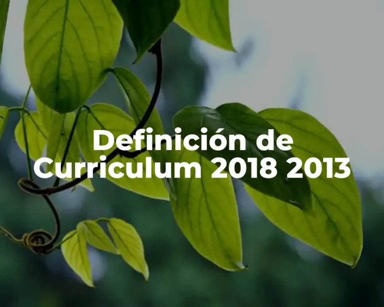 Definición de Curriculum 2018 2013