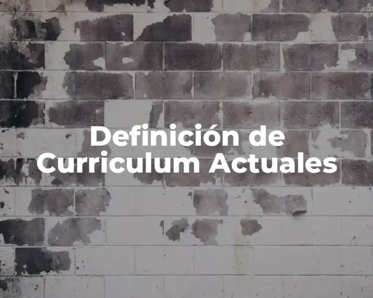 Definición de Curriculum Actuales
