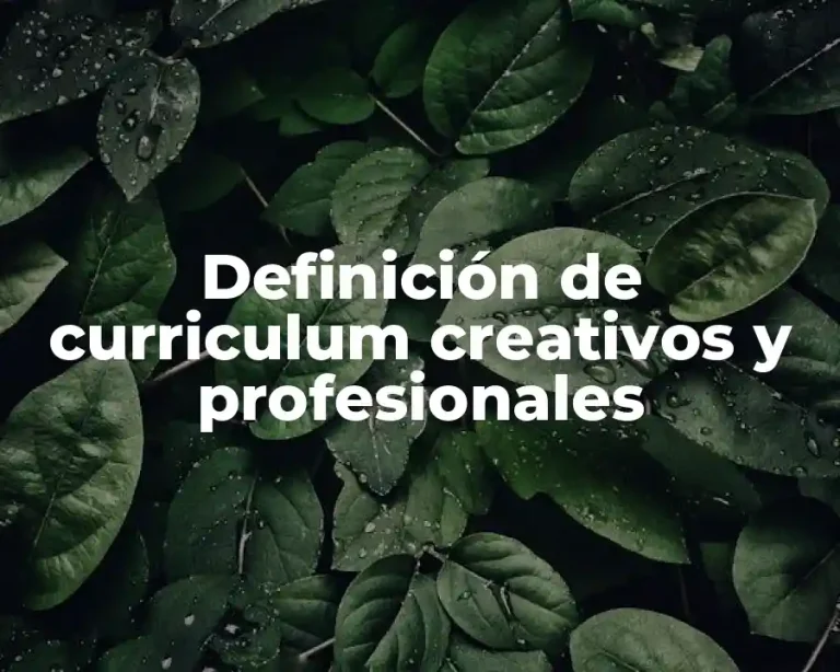 Definición de curriculum creativos y profesionales