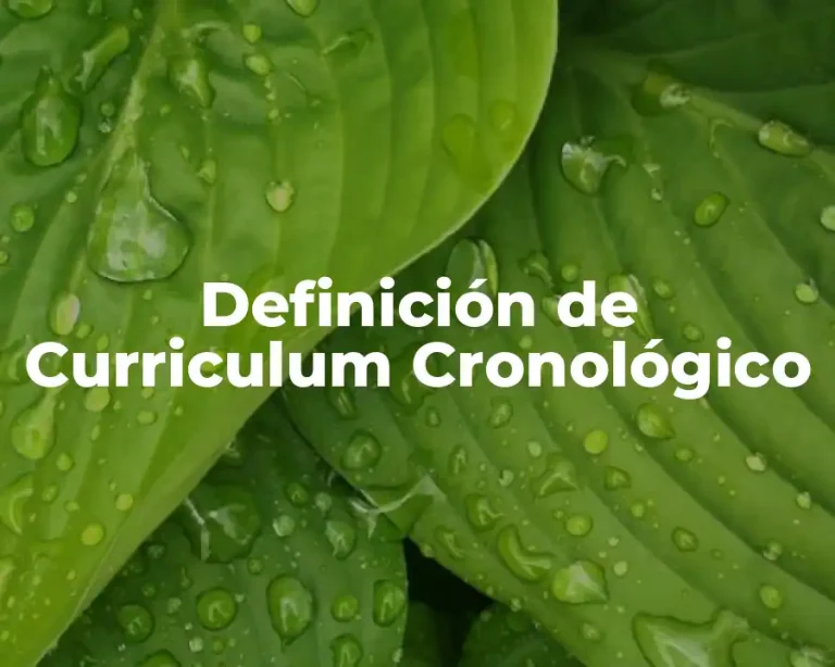 Definición de Curriculum Cronológico