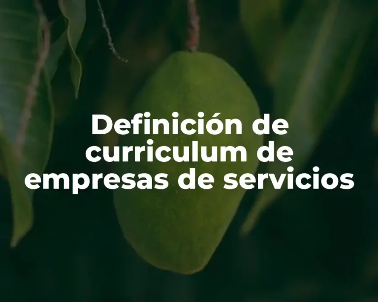 Definición de curriculum de empresas de servicios