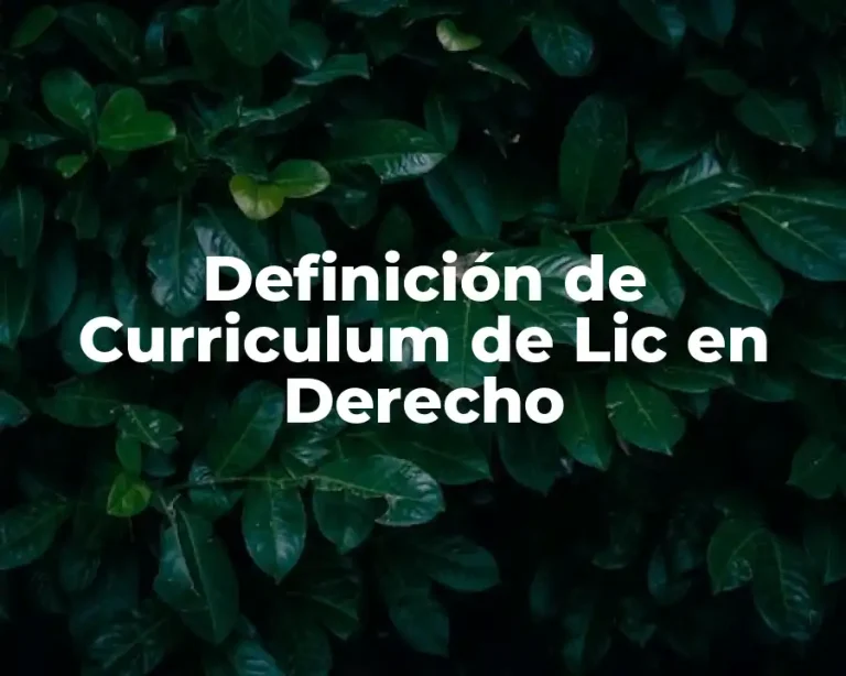 Definición de Curriculum de Lic en Derecho