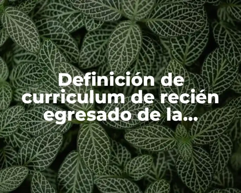Definición de curriculum de recién egresado de la licenciatura