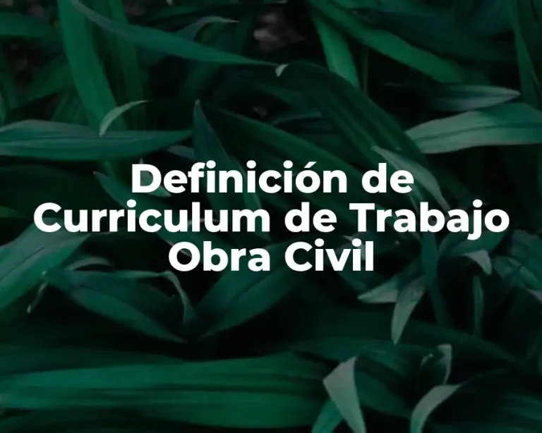Definición de Curriculum de Trabajo Obra Civil