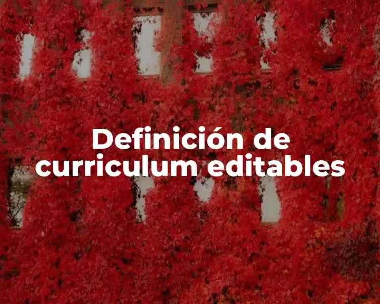 Definición de curriculum editables