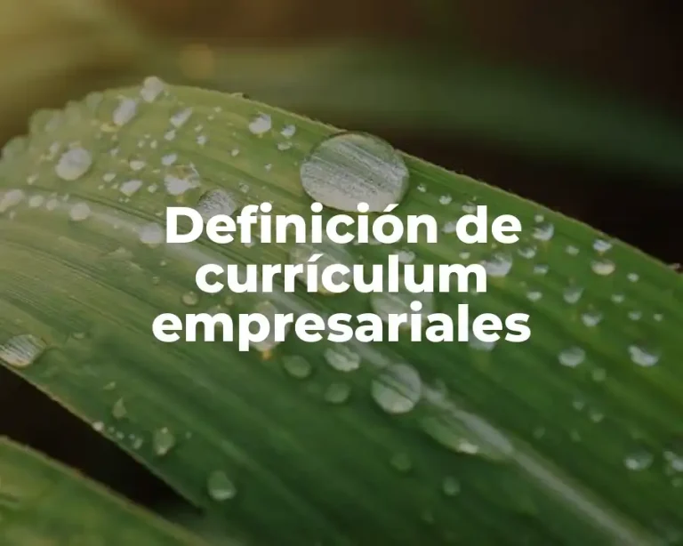 Definición de currículum empresariales