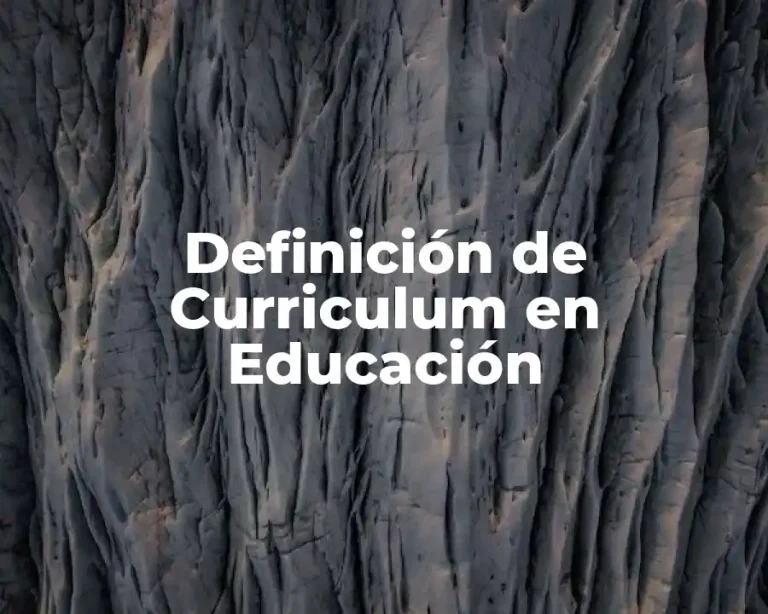 Definición de Curriculum en Educación