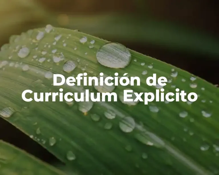 Definición de Curriculum Explicito
