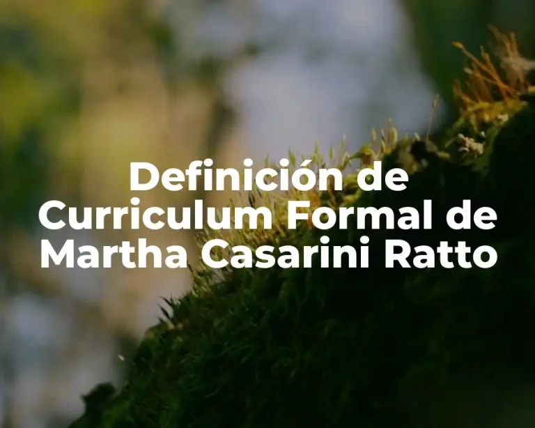 Definición de Curriculum Formal de Martha Casarini Ratto