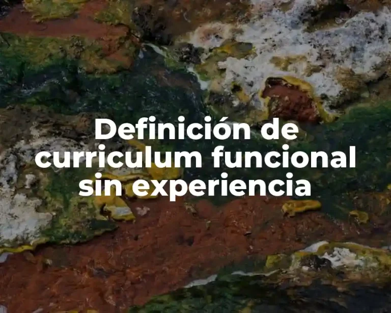 Definición de curriculum funcional sin experiencia