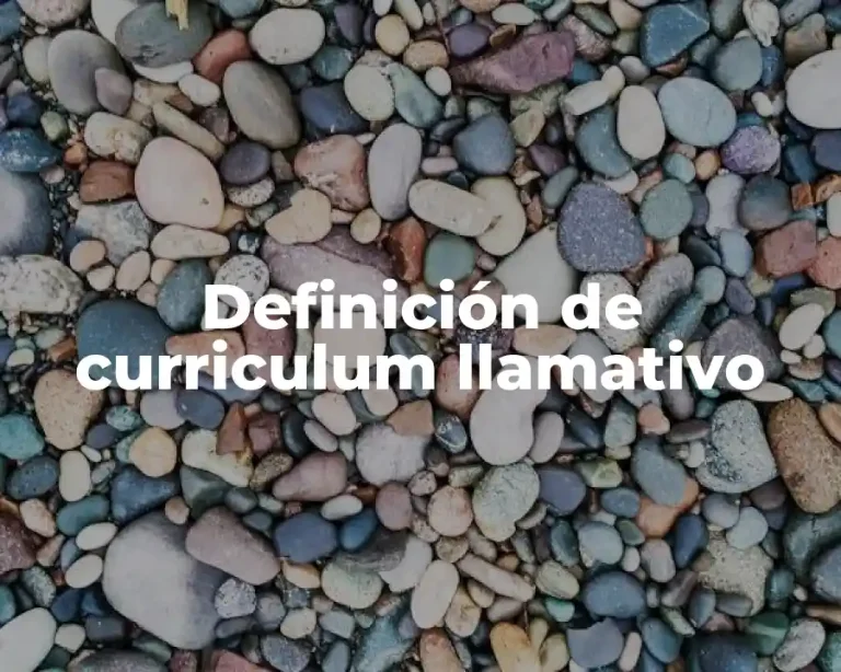 Definición de curriculum llamativo