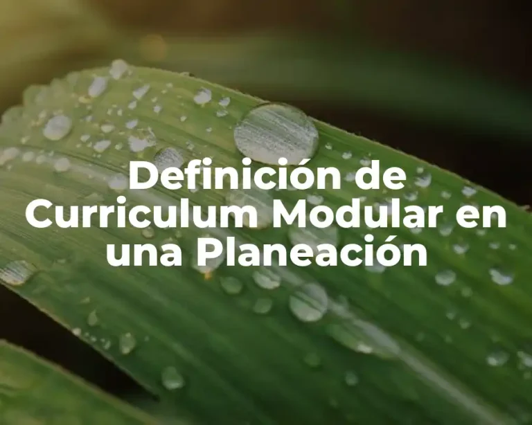 Definición de Curriculum Modular en una Planeación