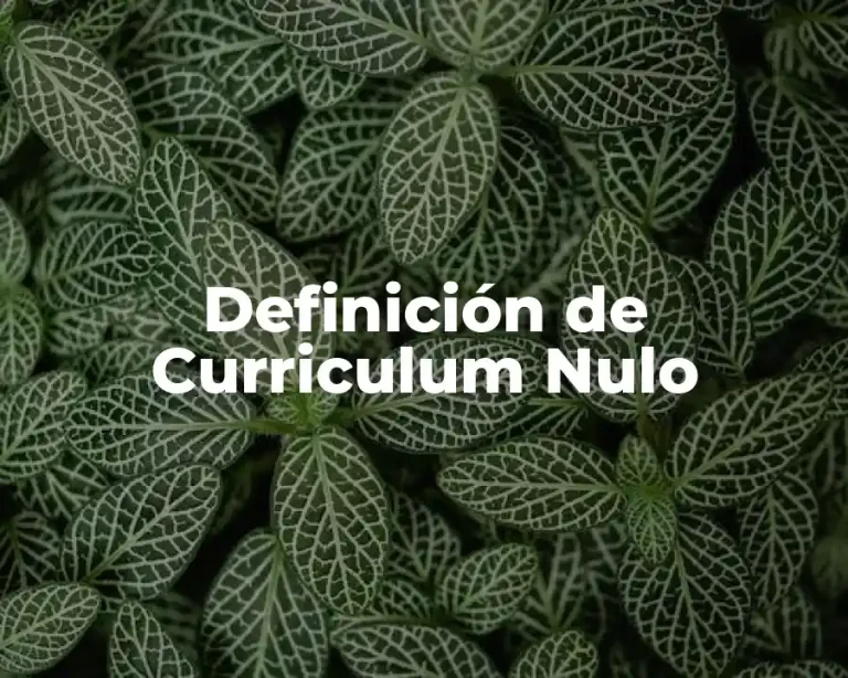 Definición de Curriculum Nulo