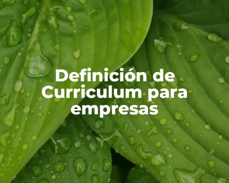 Definición de Curriculum para empresas