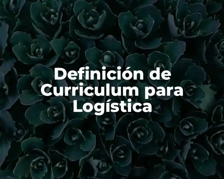 Definición de Curriculum para Logística